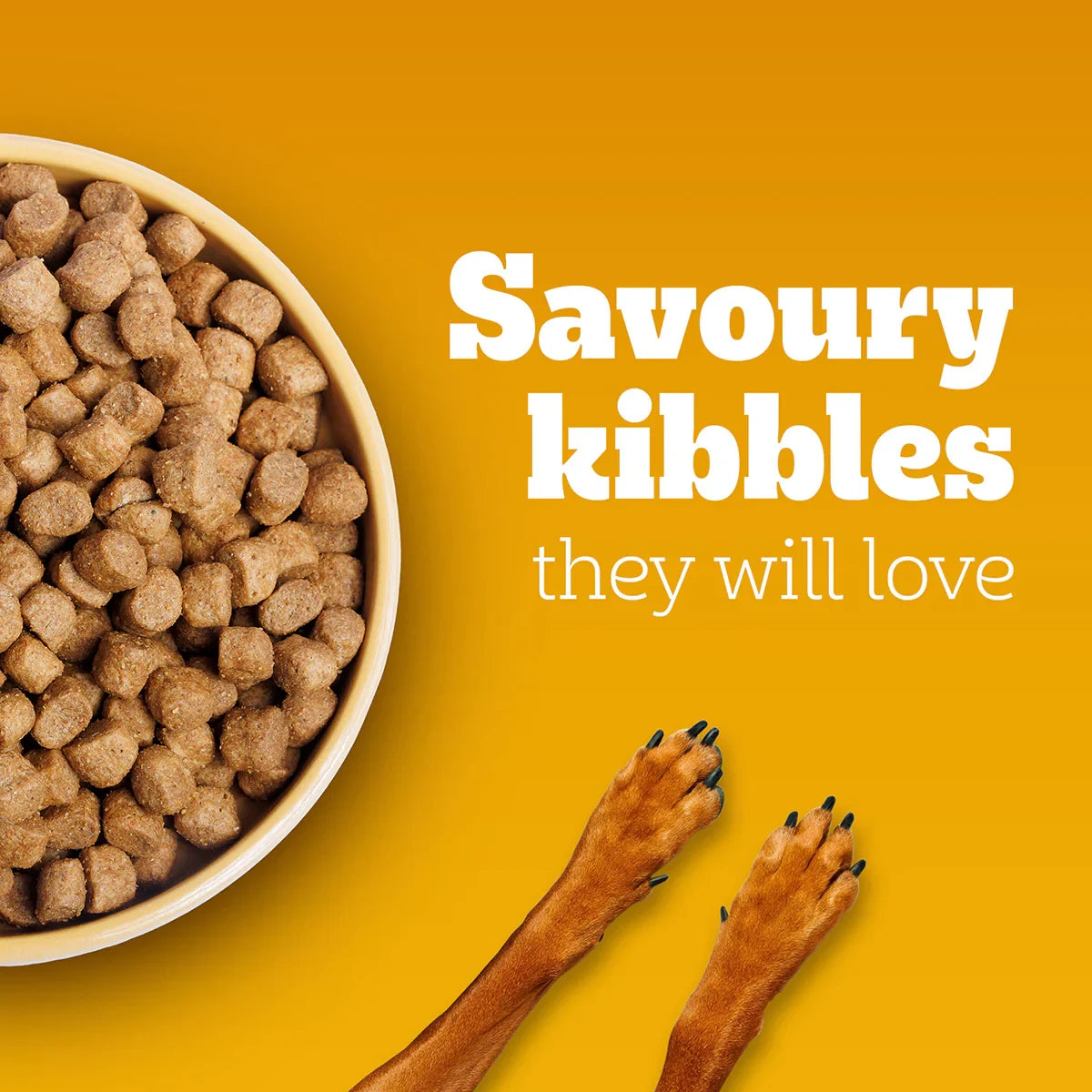 Pedigree Chicken & Vegetables Dry Dog Food - All Breed Adult - Zigly