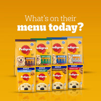 Pedigree Chicken & Vegetables Dry Dog Food - All Breed Adult - Zigly