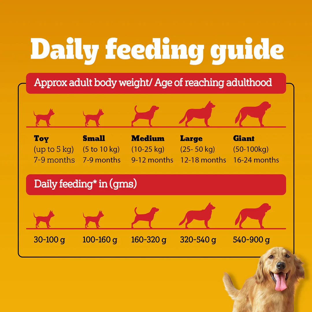 Pedigree Chicken & Vegetables Dry Dog Food - All Breed Adult - Zigly