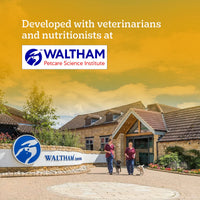 Pedigree Chicken & Vegetables Dry Dog Food - All Breed Adult - Zigly