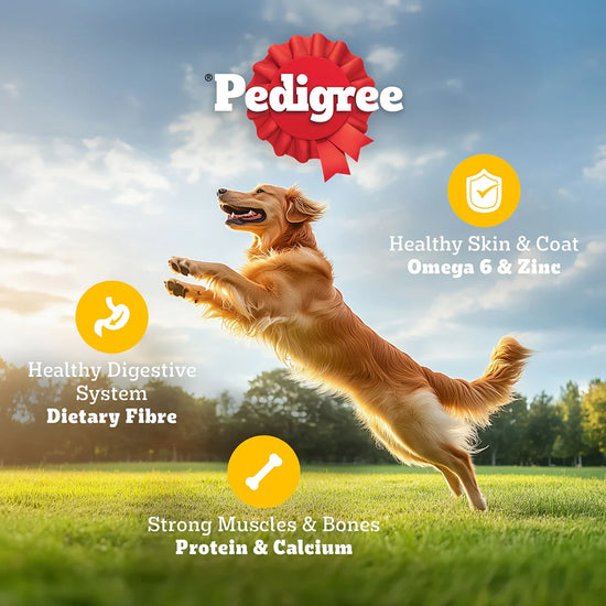 Pedigree Chicken & Vegetables Dry Dog Food - All Breed Adult - Zigly