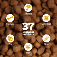 Pedigree Chicken & Vegetables Dry Dog Food - All Breed Adult - Zigly