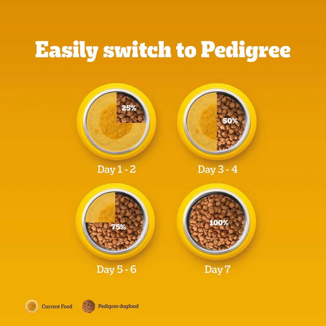 Pedigree Chicken & Vegetables Dry Dog Food - All Breed Adult - Zigly