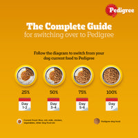Pedigree Meat & Rice Dry Dog Food - All Breed Adult - Zigly