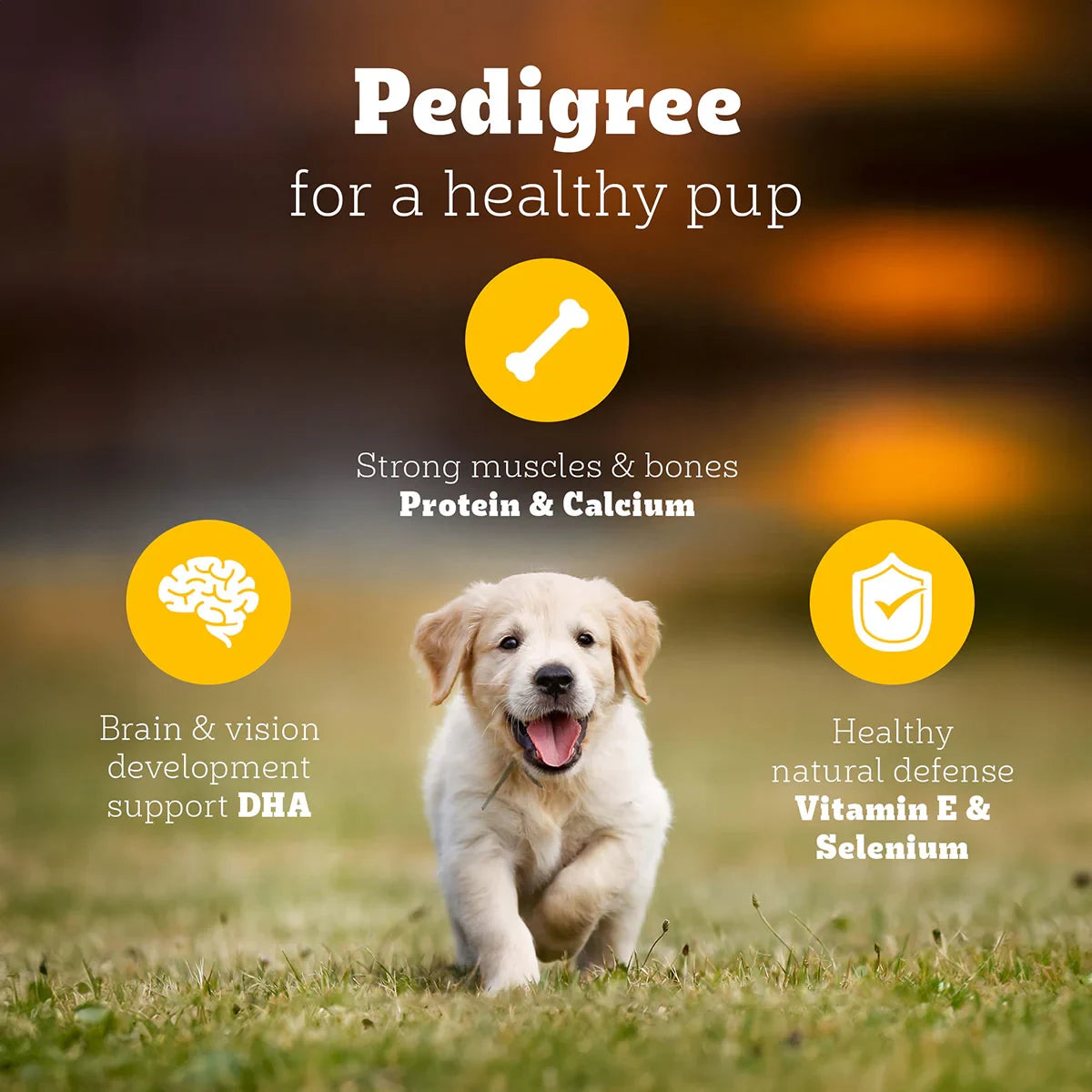 Pedigree Chicken & Milk Dry Dog Food - All Breed Puppy - Zigly