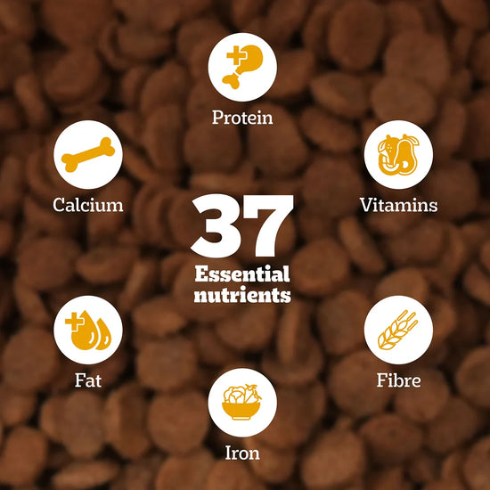 Pedigree Chicken & Milk Dry Dog Food - All Breed Puppy - Zigly