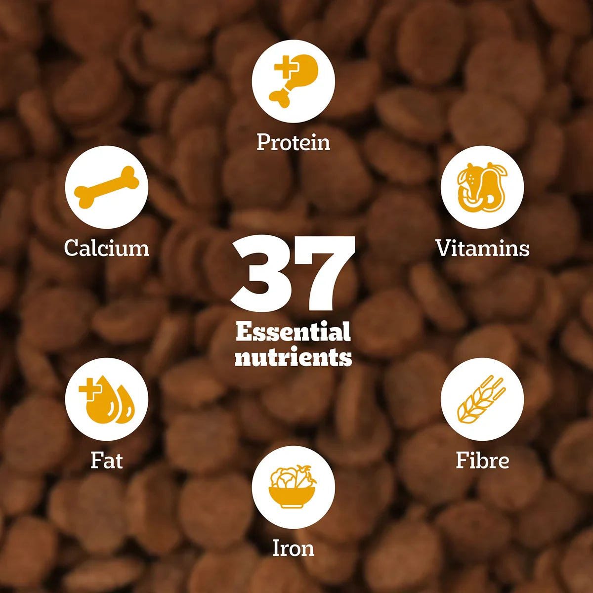 Pedigree Chicken & Milk Dry Dog Food - All Breed Puppy - Zigly