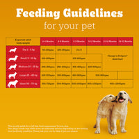 Pedigree Chicken & Milk Dry Dog Food - All Breed Puppy - Zigly