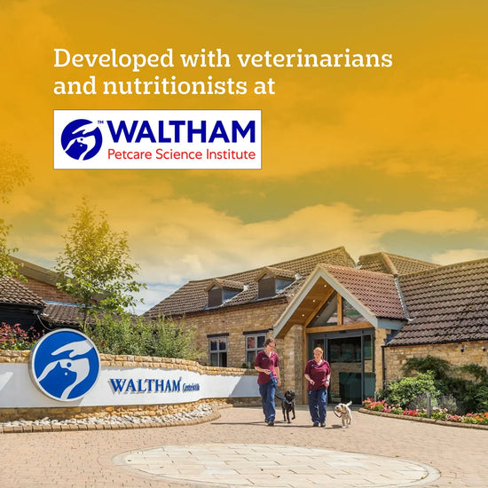 Pedigree Chicken & Milk Dry Dog Food - All Breed Puppy - Zigly