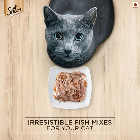 Sheba Rich Fish with Dry Bonito Flake Premium Wet Cat Food - All Breed Adult - 35g - Zigly