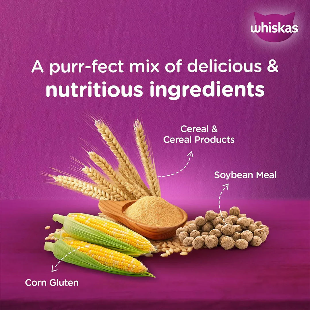 Whiskas Ocean Fish Dry Cat Food - All Breed Kitten (2-12 months) - Zigly