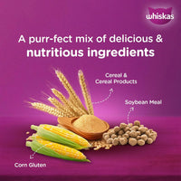Whiskas Ocean Fish Dry Cat Food - All Breed Kitten (2-12 months) - Zigly