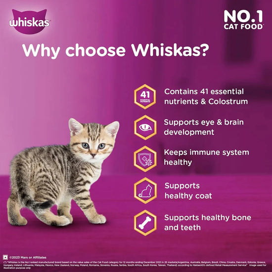 Whiskas Ocean Fish Dry Cat Food - All Breed Kitten (2-12 months) - Zigly