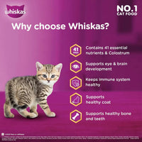 Whiskas Ocean Fish Dry Cat Food - All Breed Kitten (2-12 months) - Zigly