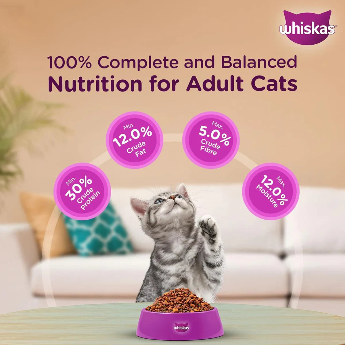 Whiskas Ocean Fish Dry Cat Food - All Breed Kitten (2-12 months) - Zigly