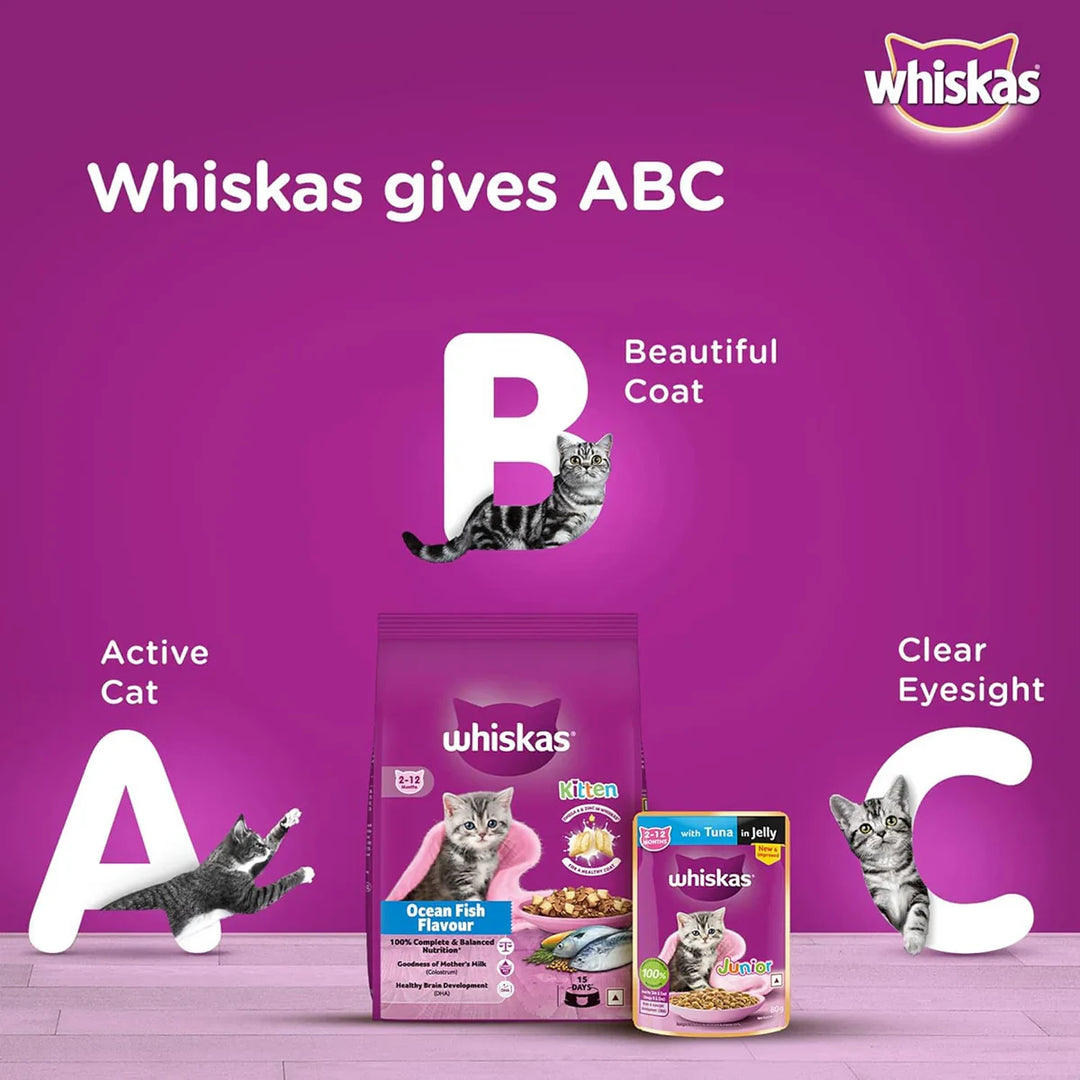 Whiskas Ocean Fish Dry Cat Food - All Breed Kitten (2-12 months) - Zigly