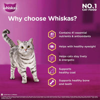 Whiskas Ocean Fish Flavour Dry Cat Food - All Breed Adult (+1 year) - Zigly