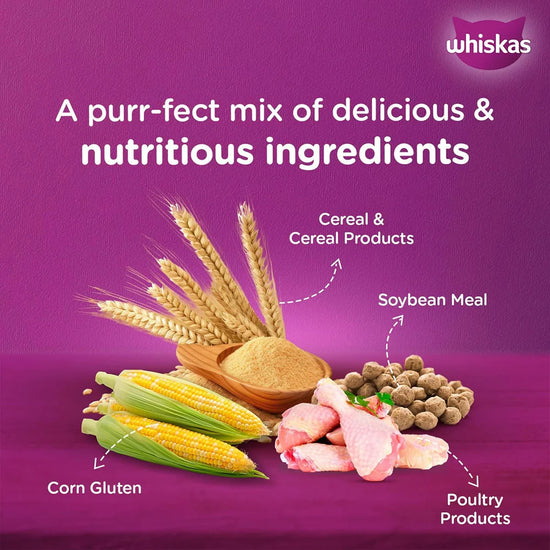Whiskas Chicken Dry Cat Food - All Breed Adult (+1 year) - Zigly