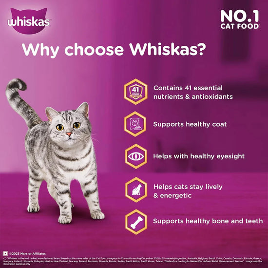 Whiskas Chicken Dry Cat Food - All Breed Adult (+1 year) - Zigly
