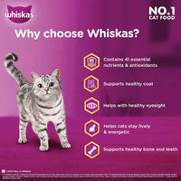 Whiskas Chicken Dry Cat Food - All Breed Adult (+1 year) - Zigly