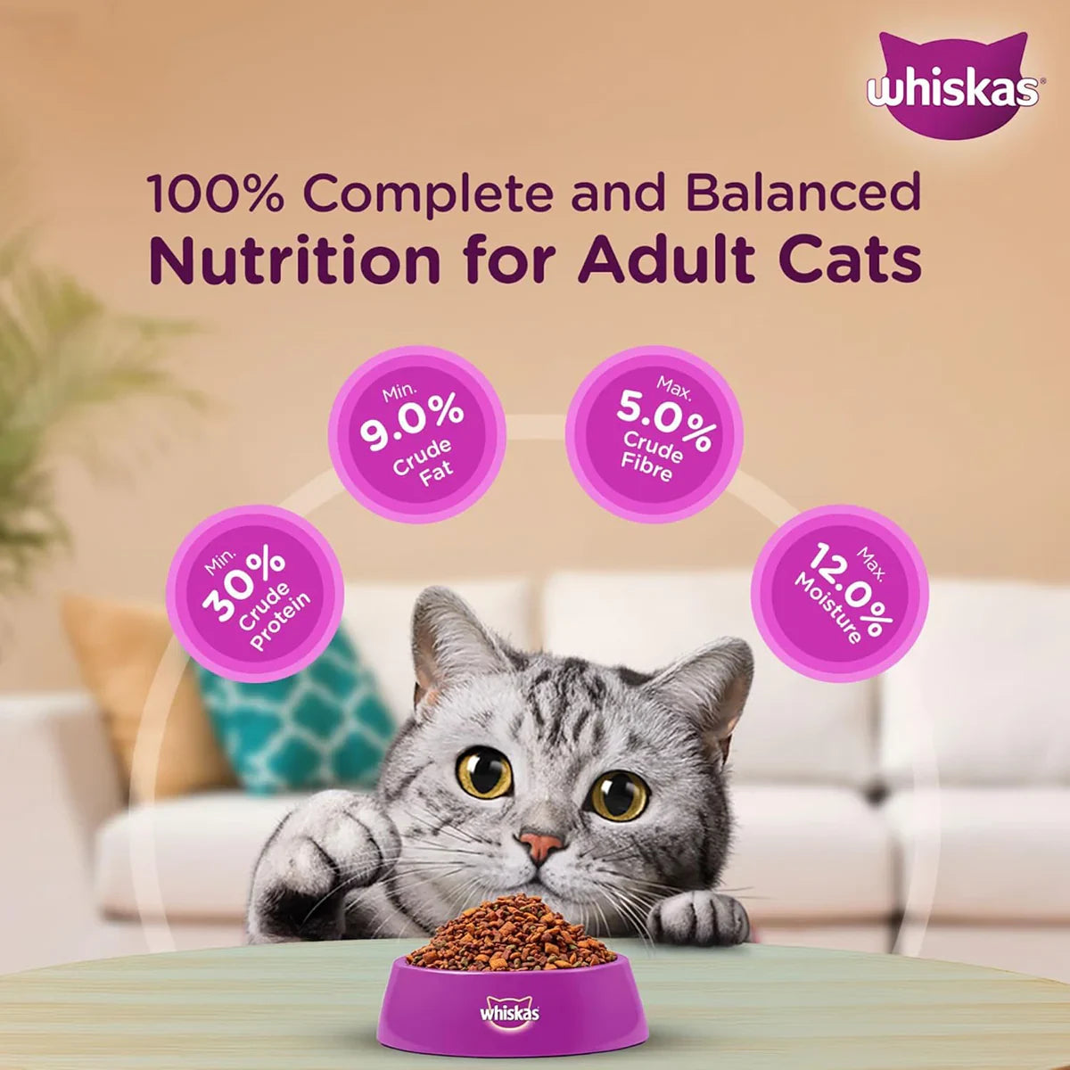 Whiskas Chicken Dry Cat Food - All Breed Adult (+1 year) - Zigly