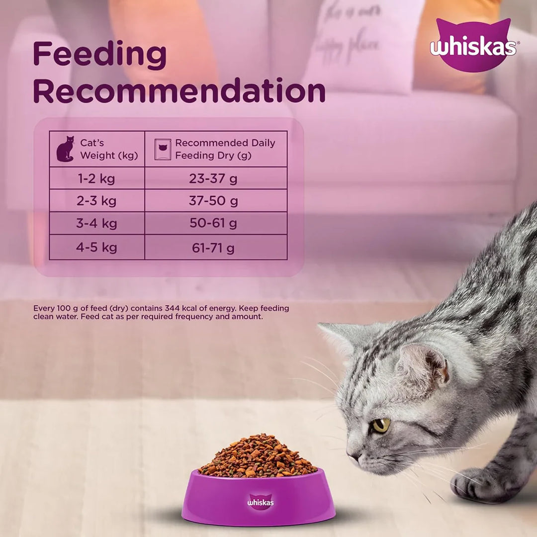 Whiskas Mackerel Dry Cat Food - All Breeds Adult (1+ year) - Zigly