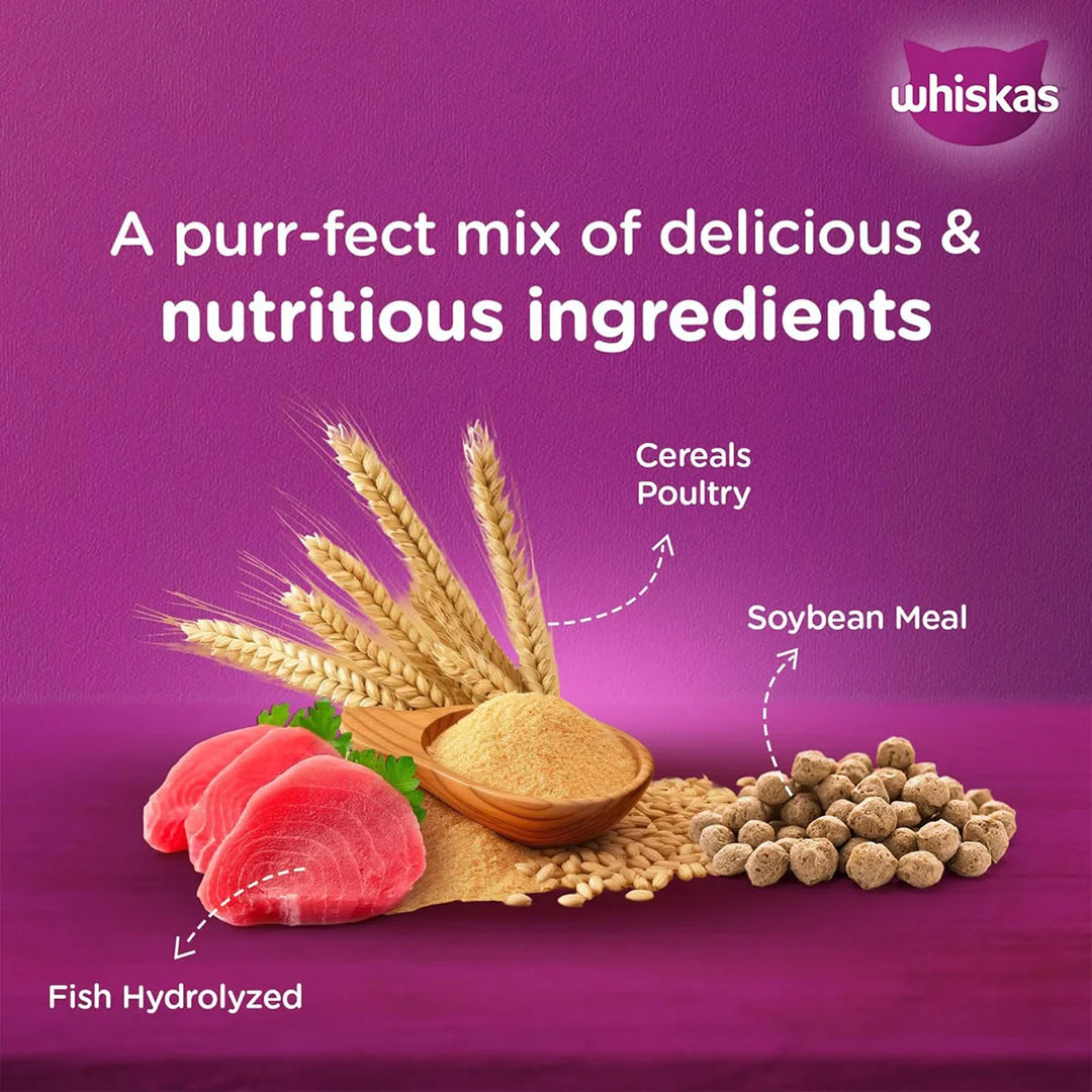 Whiskas Mackerel Dry Cat Food - All Breed Kitten (2-12 months) - Zigly