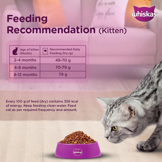 Whiskas Mackerel Dry Cat Food - All Breed Kitten (2-12 months) - Zigly