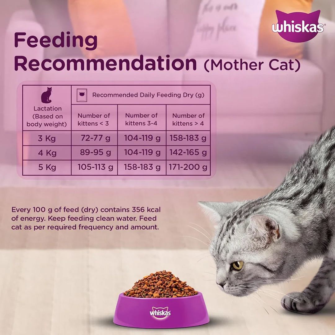 Whiskas Mackerel Dry Cat Food - All Breed Kitten (2-12 months) - Zigly