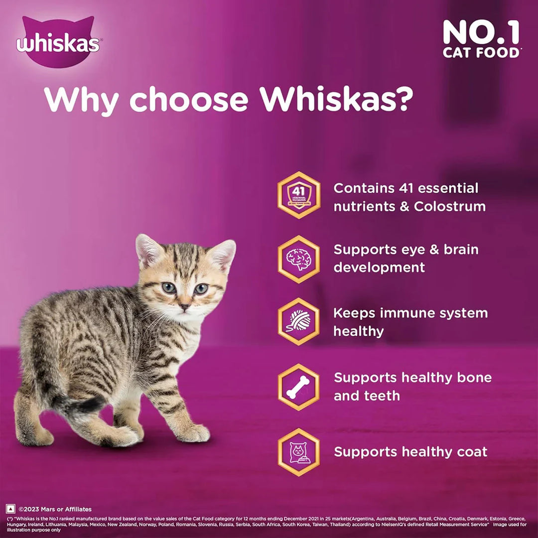 Whiskas Mackerel Dry Cat Food - All Breed Kitten (2-12 months) - Zigly