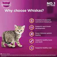 Whiskas Mackerel Dry Cat Food - All Breed Kitten (2-12 months) - Zigly