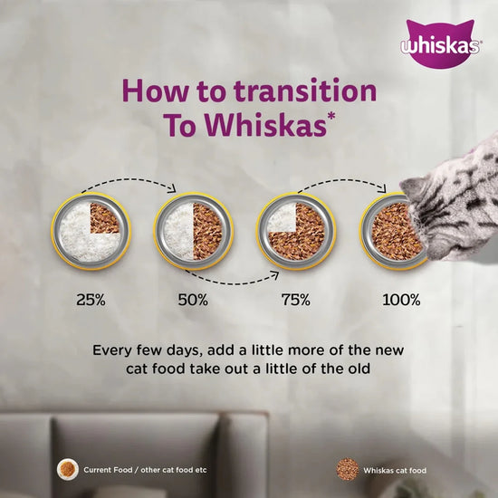 Whiskas Kitten Chicken in Gravy Wet Food - 80g - Zigly