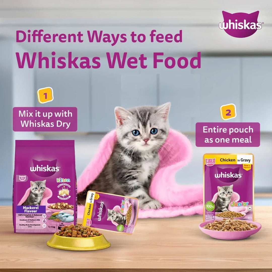 Whiskas Kitten Chicken in Gravy Wet Food - 80g - Zigly