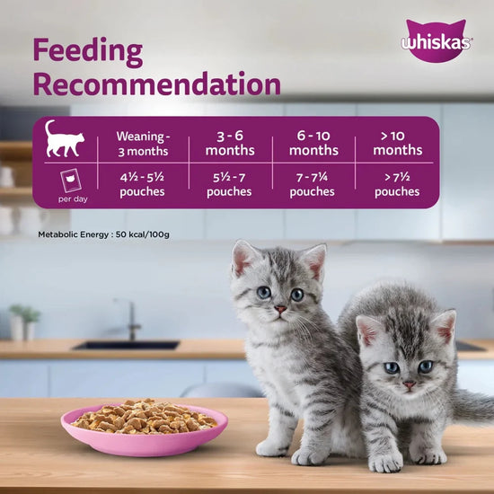 Whiskas Kitten Chicken in Gravy Wet Food - 80g - Zigly