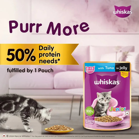 Whiskas Kitten Tuna in Jelly Wet Food - 80g - Zigly