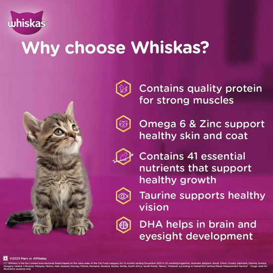 Whiskas Kitten Tuna in Jelly Wet Food - 80g - Zigly