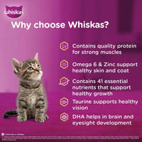Whiskas Kitten Tuna in Jelly Wet Food - 80g - Zigly
