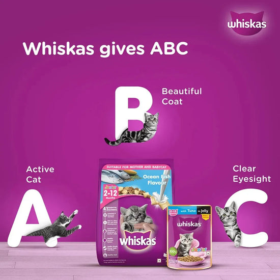 Whiskas Kitten Tuna in Jelly Wet Food - 80g - Zigly