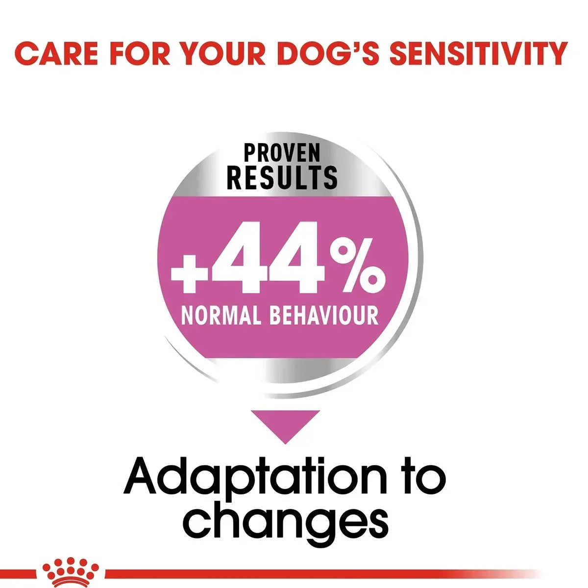 Royal Canin Mini Relax Care Adult Dry Dog Food - 1kg - Zigly