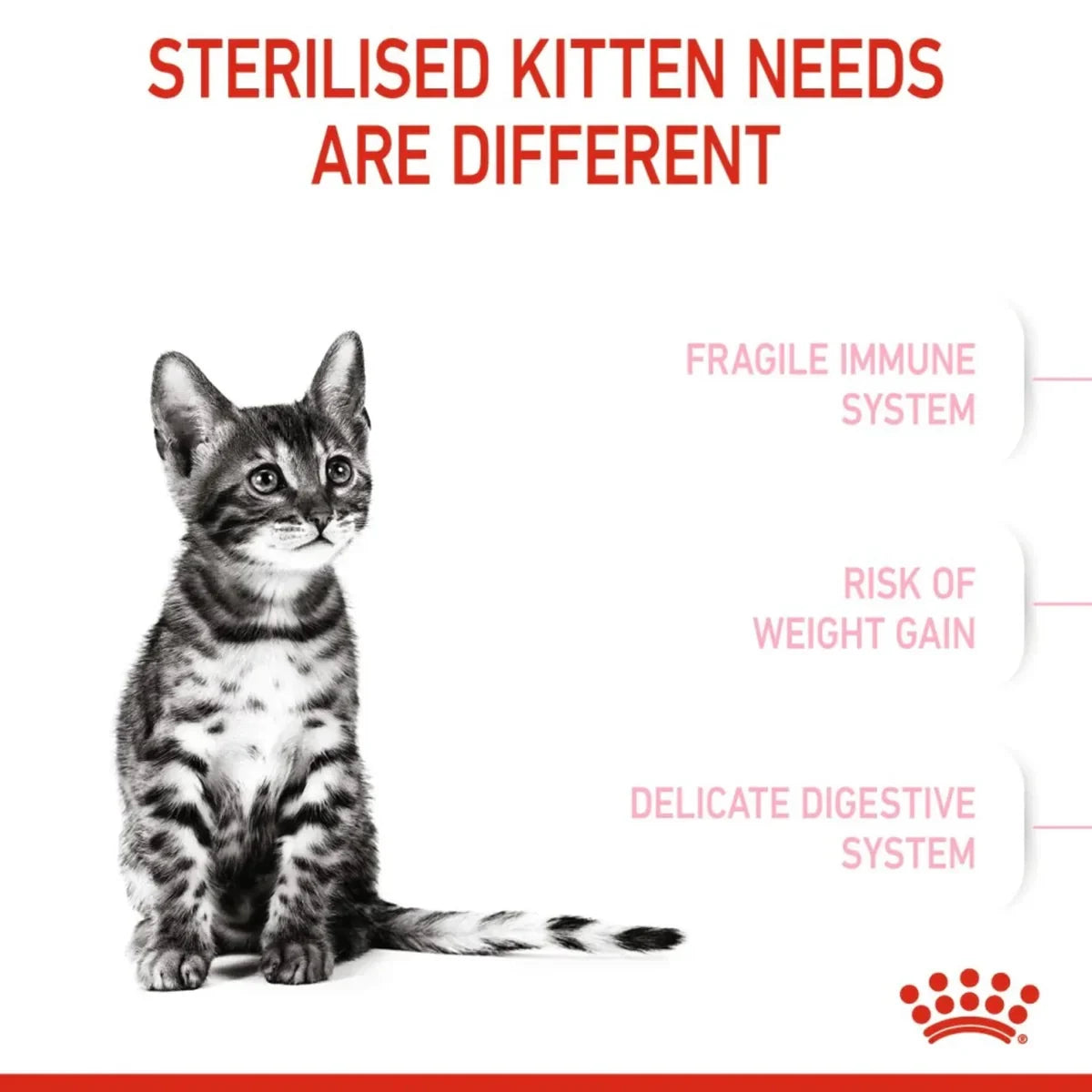 Royal Canin Kitten Sterilised Dry Cat food - All Breed Kitten - 2kg - Zigly