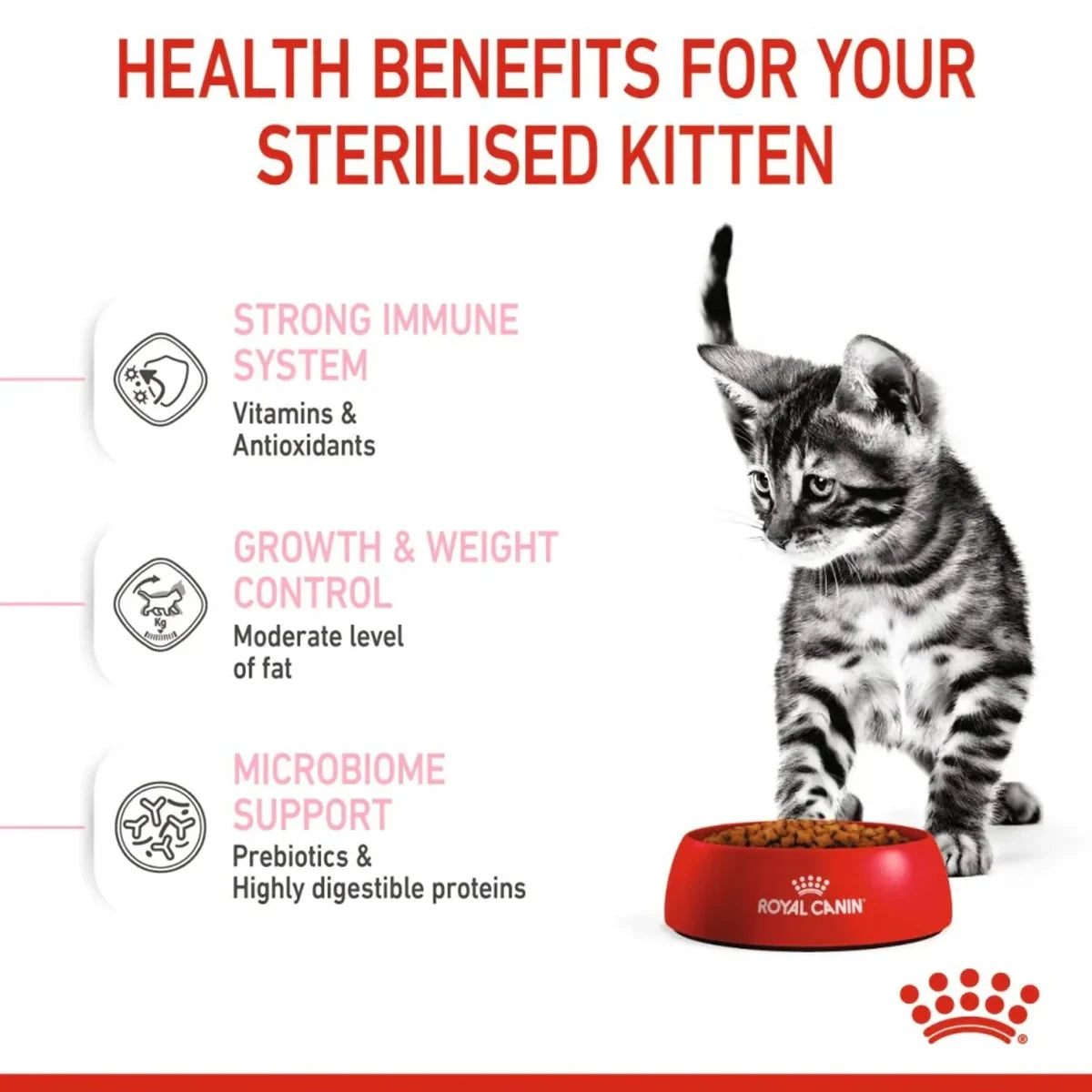Royal Canin Kitten Sterilised Dry Cat food - All Breed Kitten - 2kg - Zigly