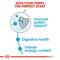 Royal Canin Mini Puppy Dry Dog Food - Zigly