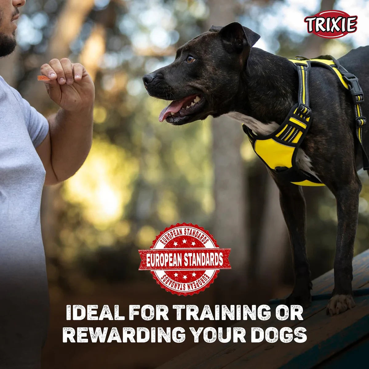 Trixie Premio Cheese Chicken Stripes Dog Treat - 100g - Zigly