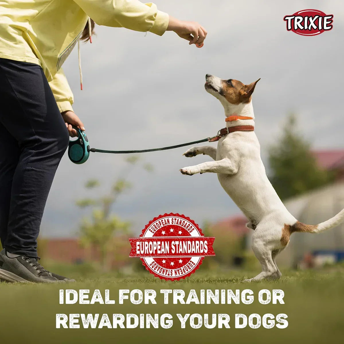 Trixie Premio Chicken Hearts Dog Treat - 100g - Zigly