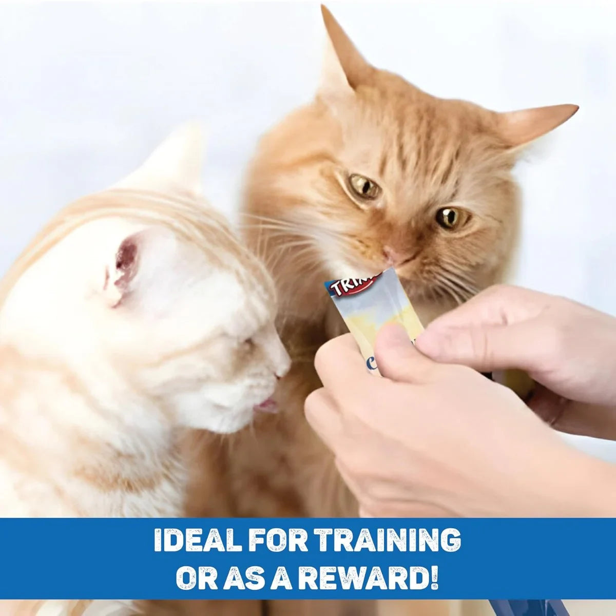 Trixie Creamy Snack With Shrimp Cat Treat - 5 × 14g - Zigly