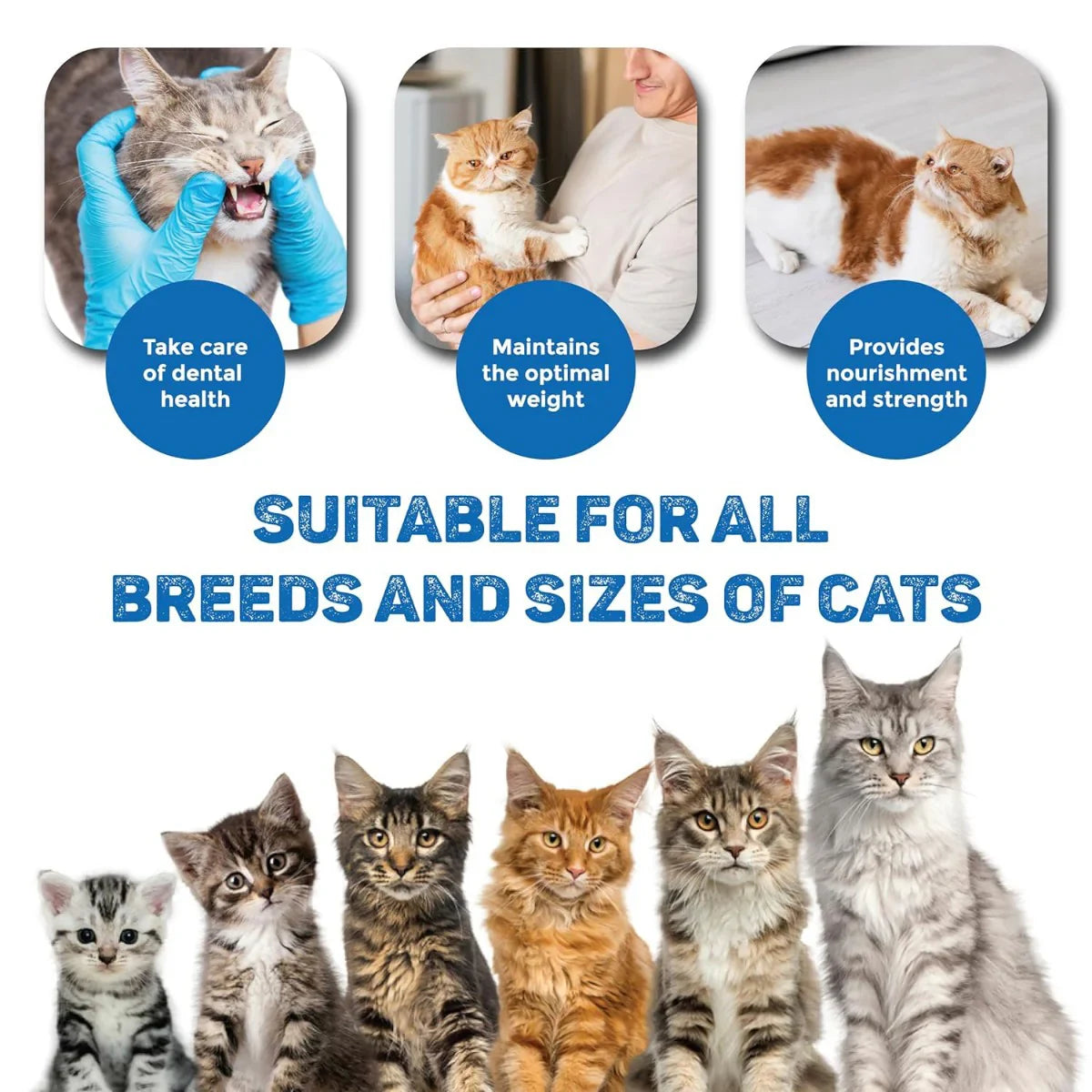 Trixie Creamy Snack With Shrimp Cat Treat - 5 × 14g - Zigly