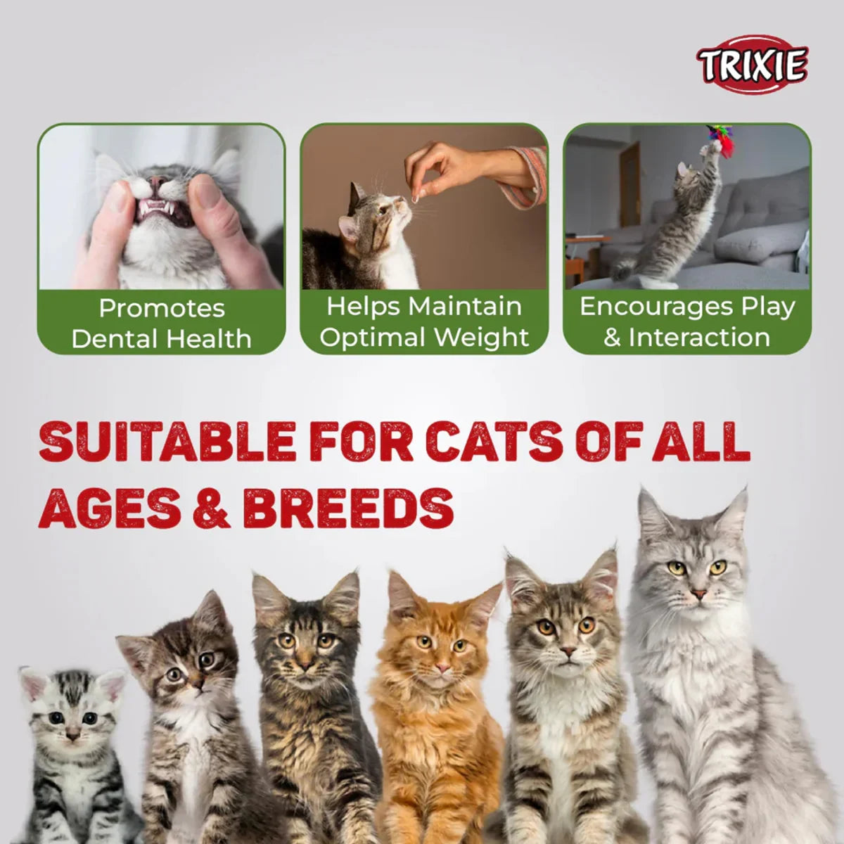 Trixie Premio Fish Chicken Rolls Cat Treat - 50g - Zigly