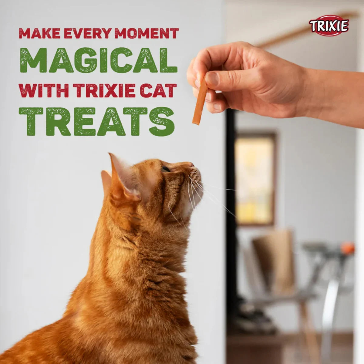 Trixie Premio Chicken Mini Sticks Cat Treat - 50g - Zigly