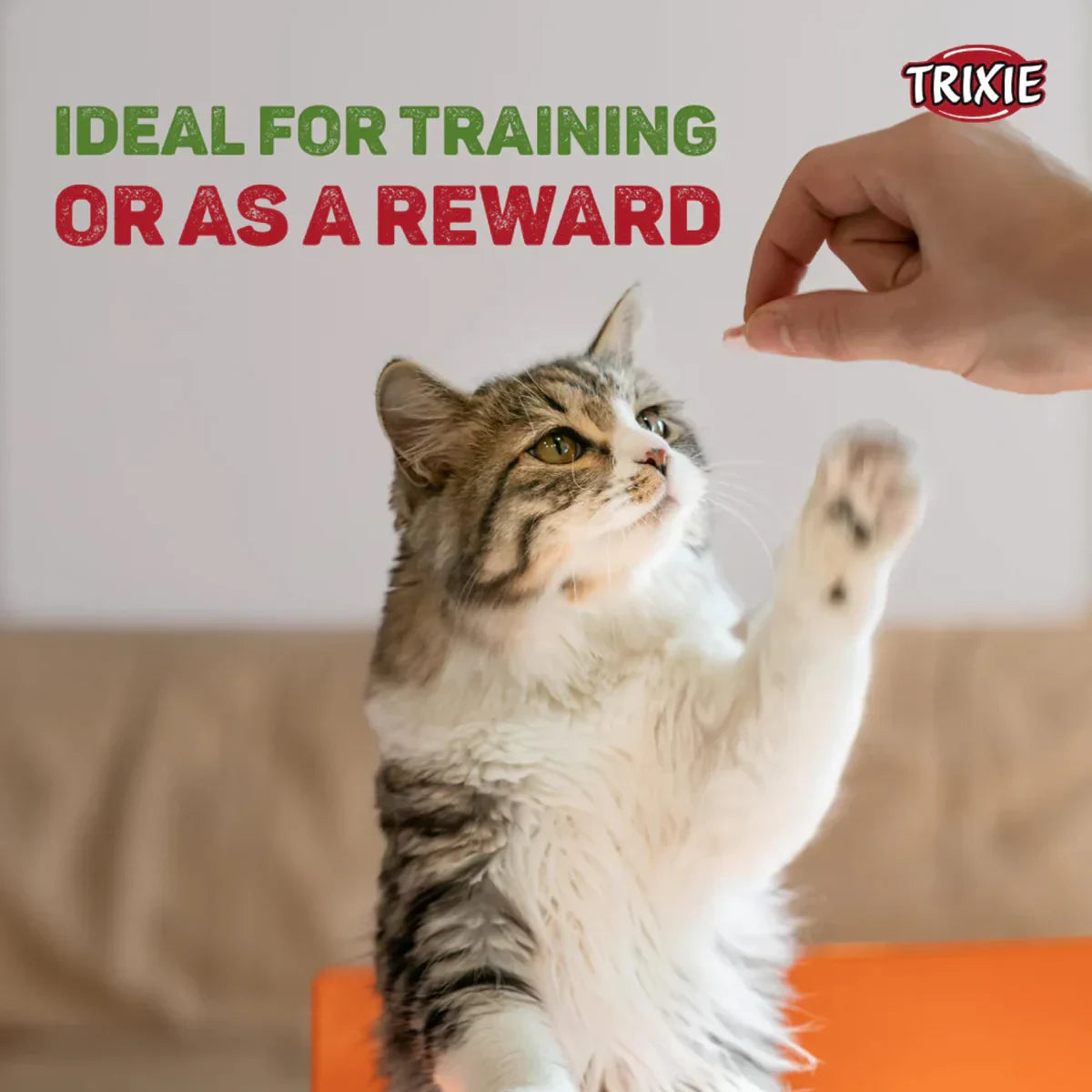 Trixie Premio Chicken Mini Sticks Cat Treat - 50g - Zigly