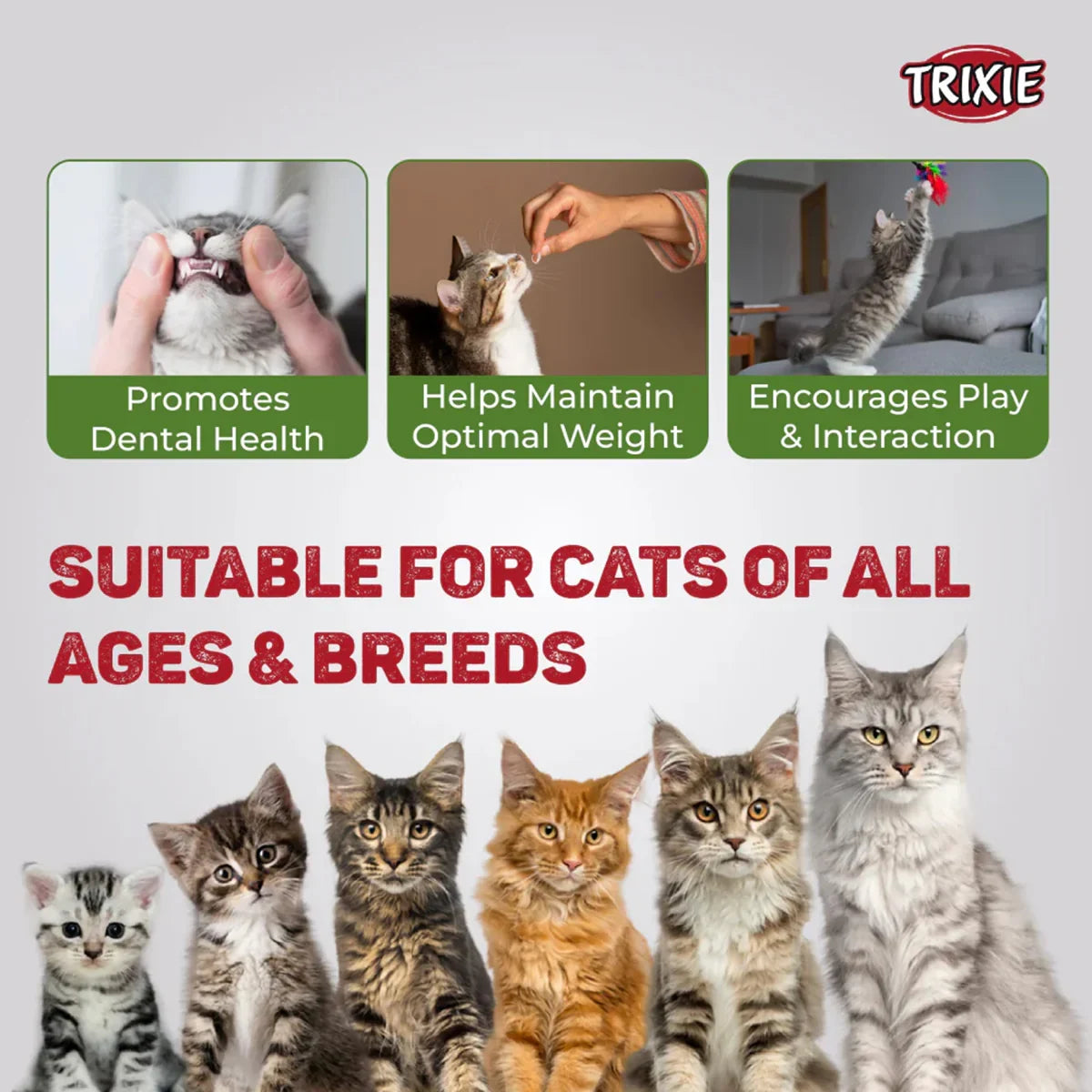 Trixie Premio Chicken Mini Sticks Cat Treat - 50g - Zigly